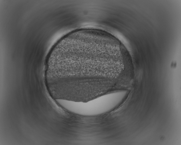 X0000091951376200710040959