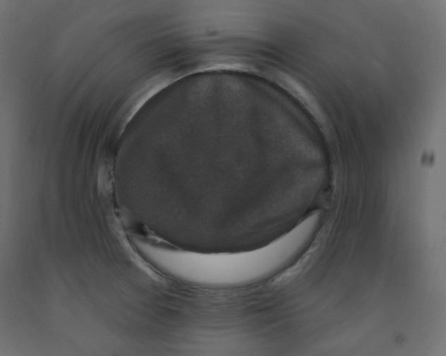 X0000091951377200710040959