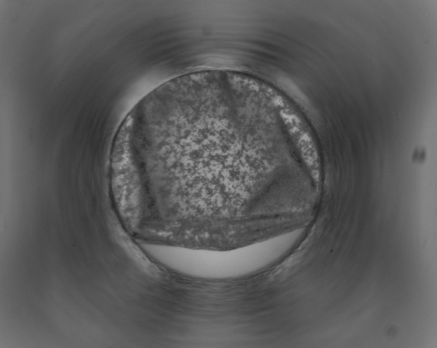 X0000091951378200710040959