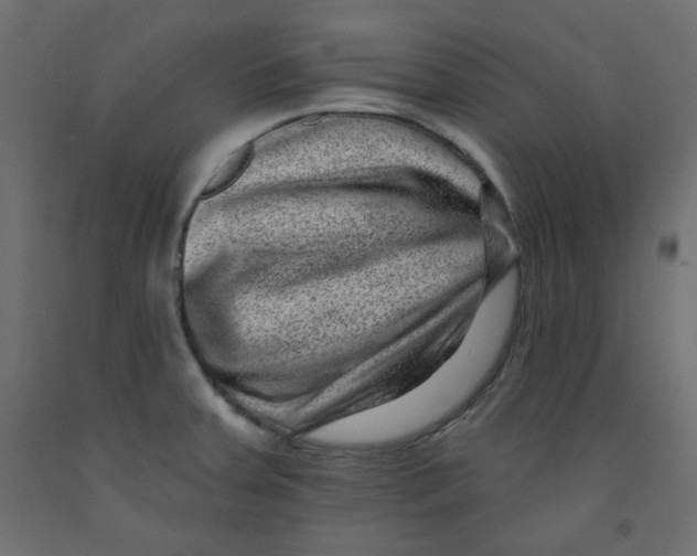 X0000091951379200710040959