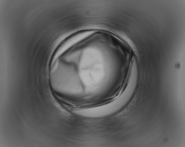 X0000091951380200710040959