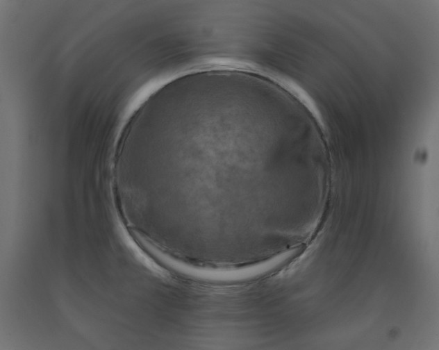 X0000091951381200710040959