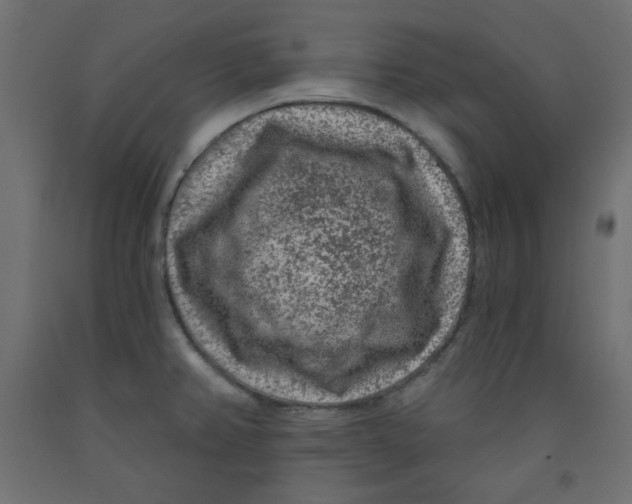 X0000091951382200710040959