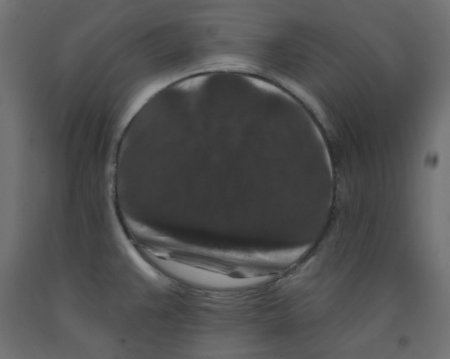 X0000091951383200710040959