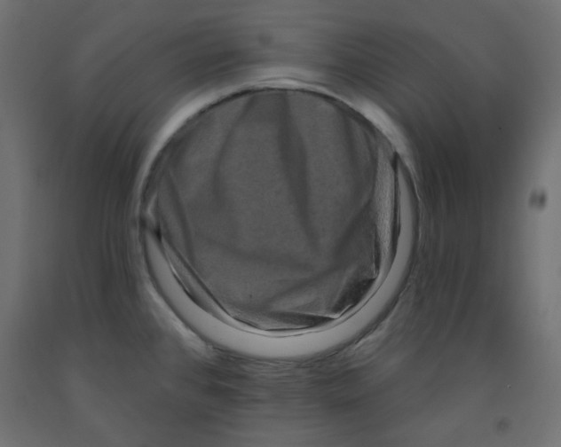 X0000091951384200710040959