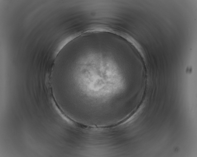 X0000091951385200710040959