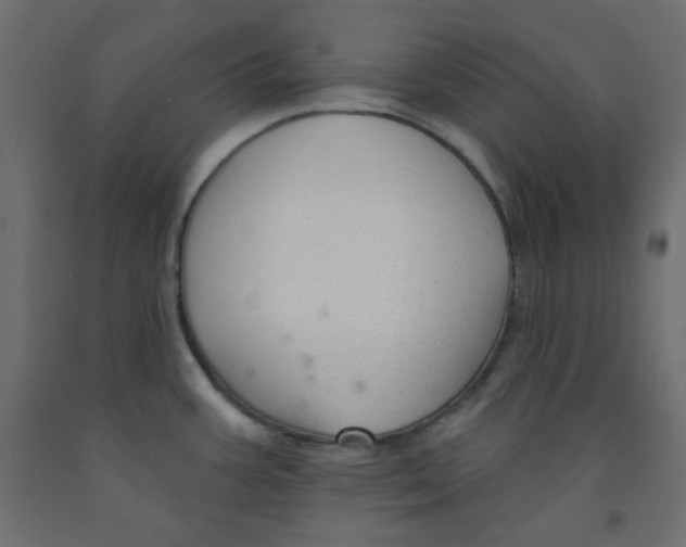 X0000091951387200710040959