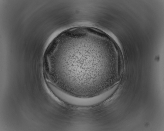 X0000091951389200710040959