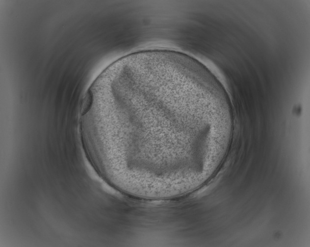 X0000091951390200710040959