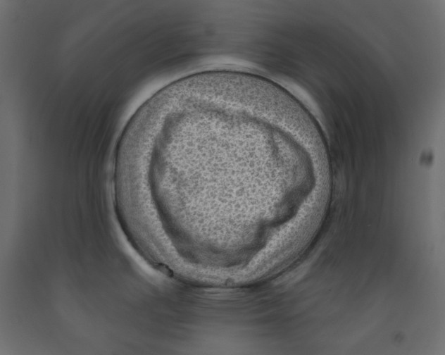 X0000091951391200710040959