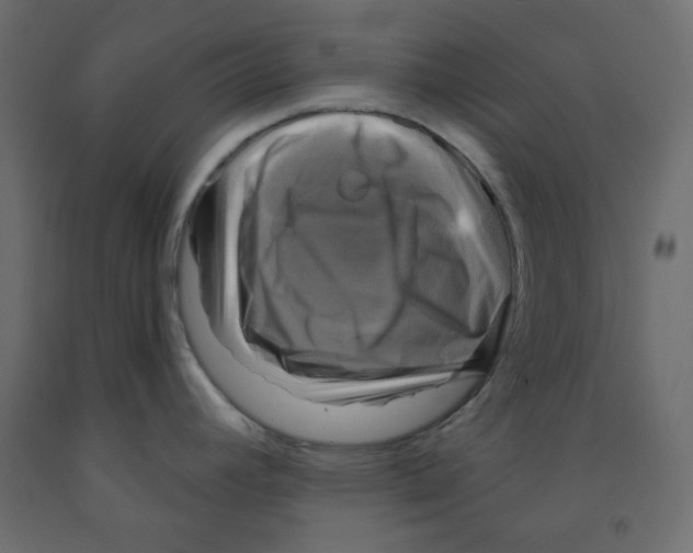 X0000091951392200710040959