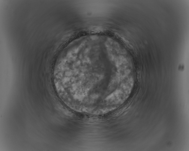 X0000091951393200710040958