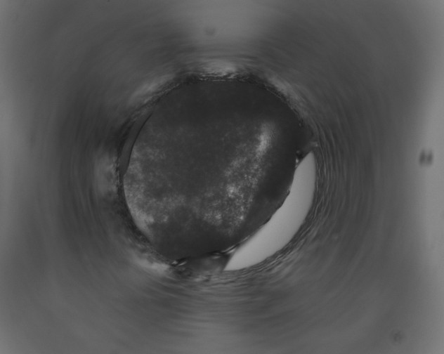 X0000091951394200710040958