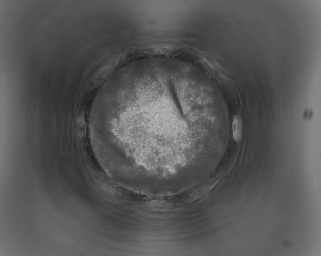 X0000091951395200710040958