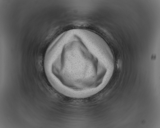 X0000091951396200710040958