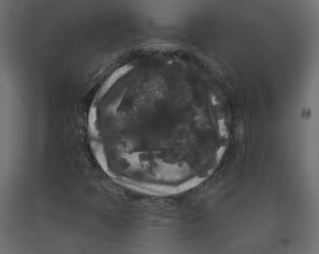 X0000091951397200710040958