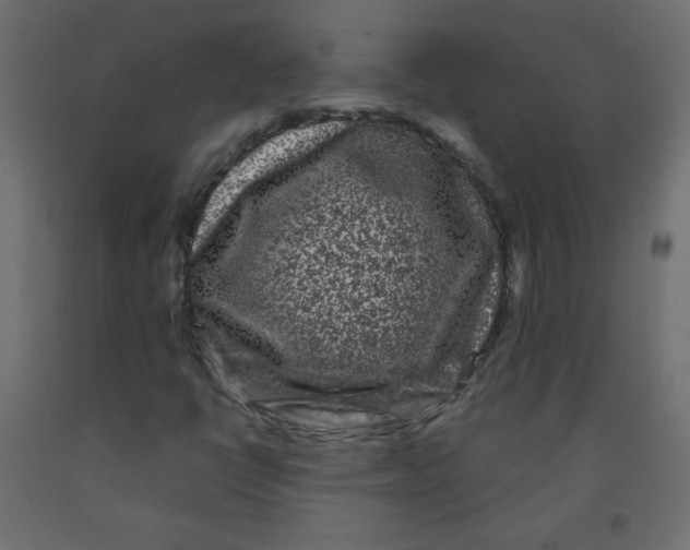 X0000091951398200710040958