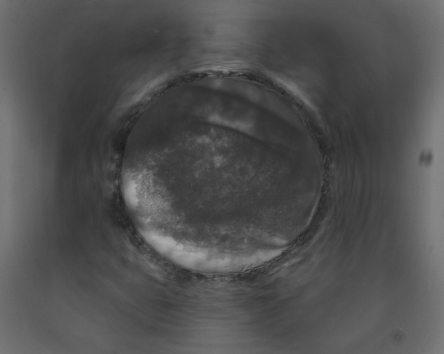 X0000091951399200710040958