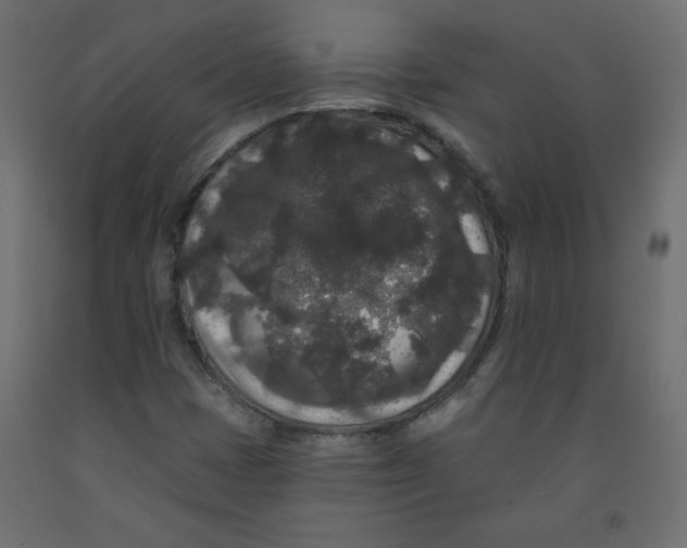 X0000091951401200710040958