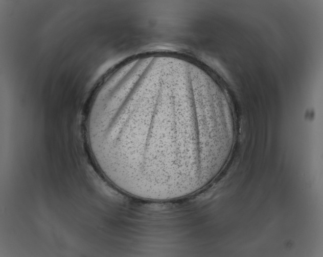 X0000091951404200710040958