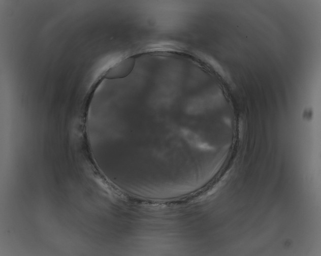 X0000091951405200710040958