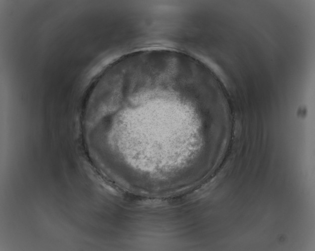 X0000091951407200710040958