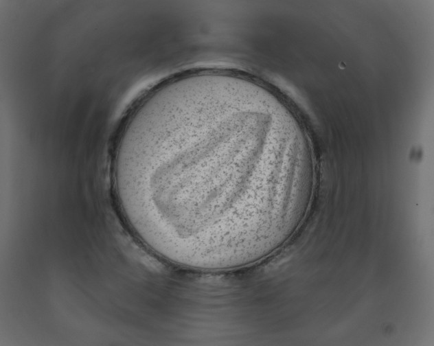 X0000091951408200710040958