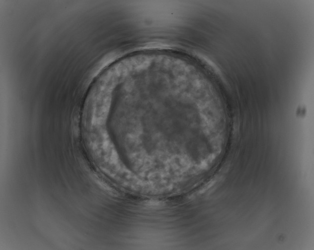 X0000091951409200710040958