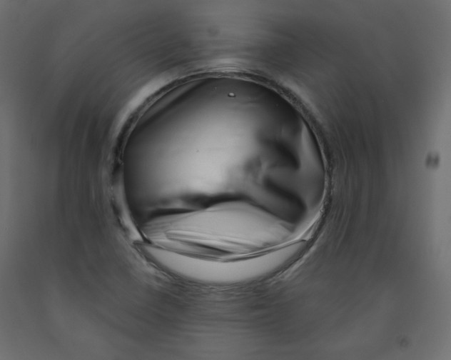 X0000091951410200710040958