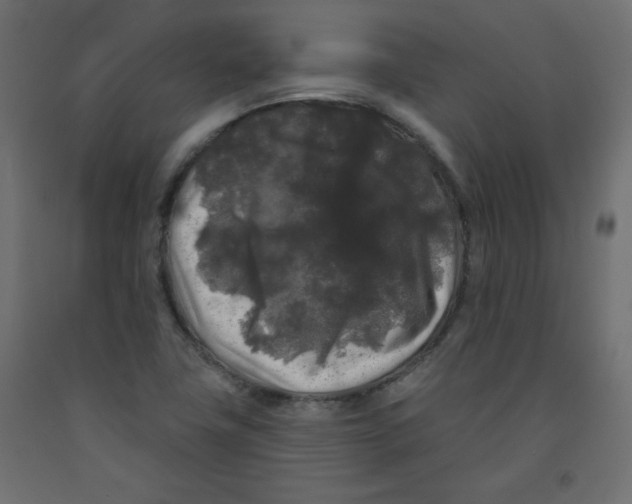 X0000091951411200710040958