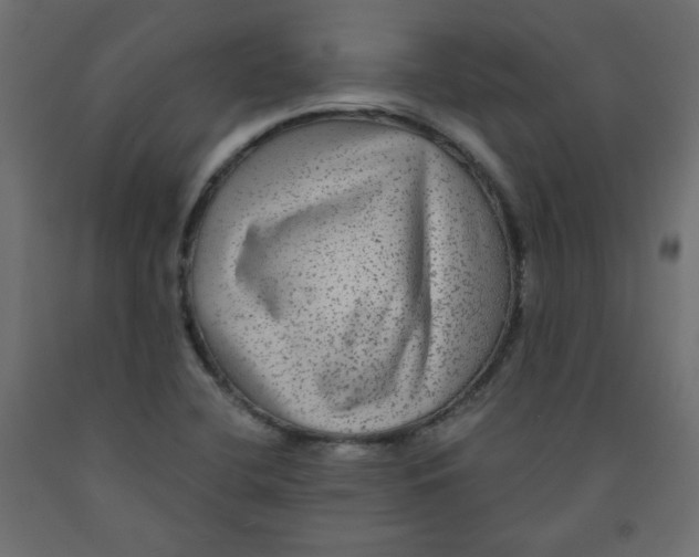 X0000091951412200710040958