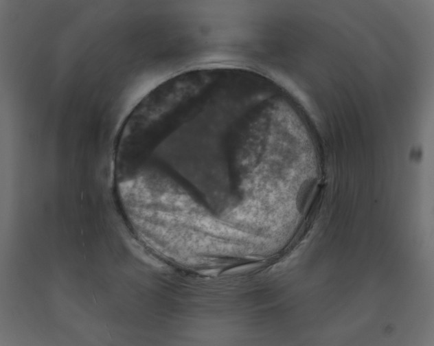 X0000091951413200710040958