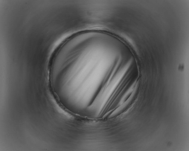 X0000091951414200710040958