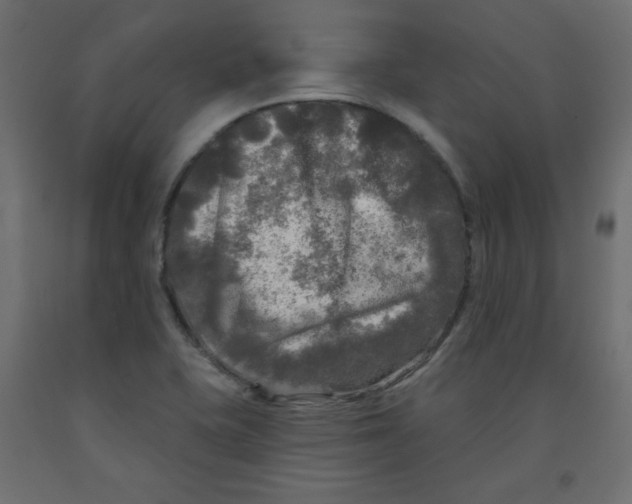 X0000091951415200710040958