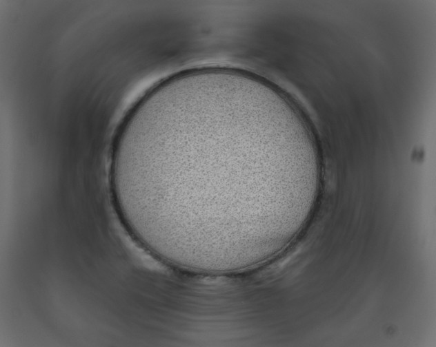 X0000091951416200710040958