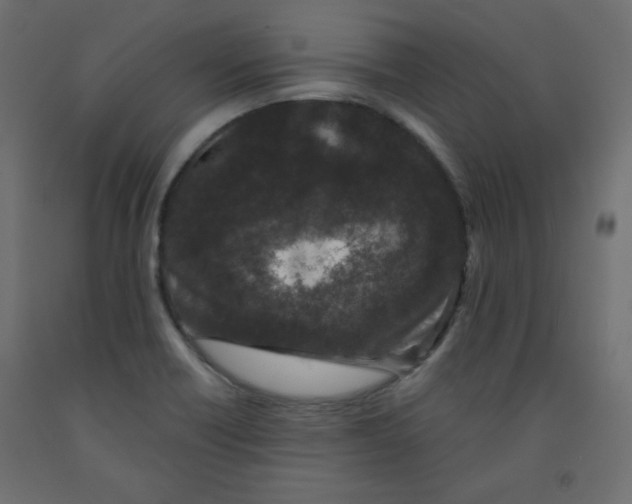 X0000091951418200710040958