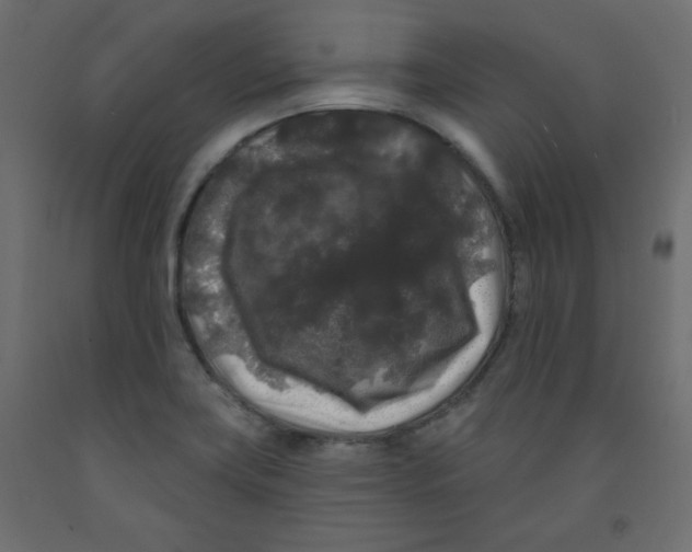 X0000091951419200710040958