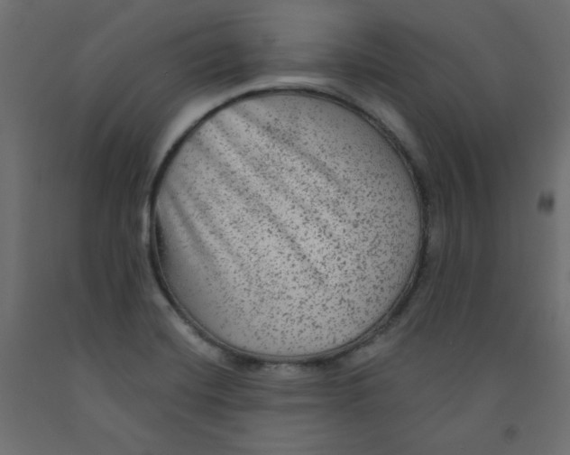 X0000091951420200710040959