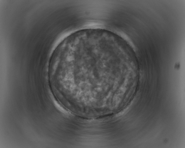 X0000091951421200710040959