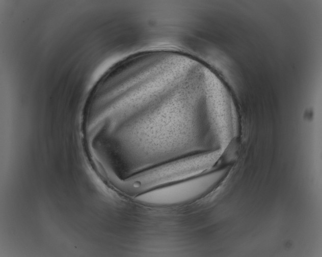 X0000091951422200710040959