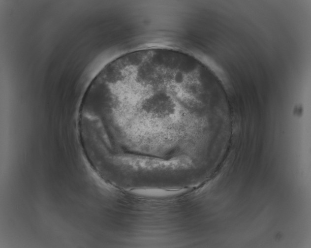 X0000091951423200710040959