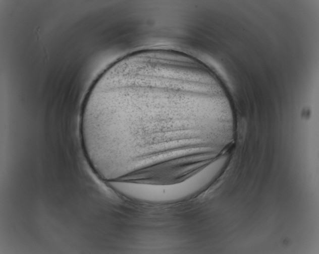 X0000091951424200710040959