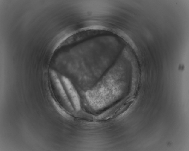 X0000091951425200710040959