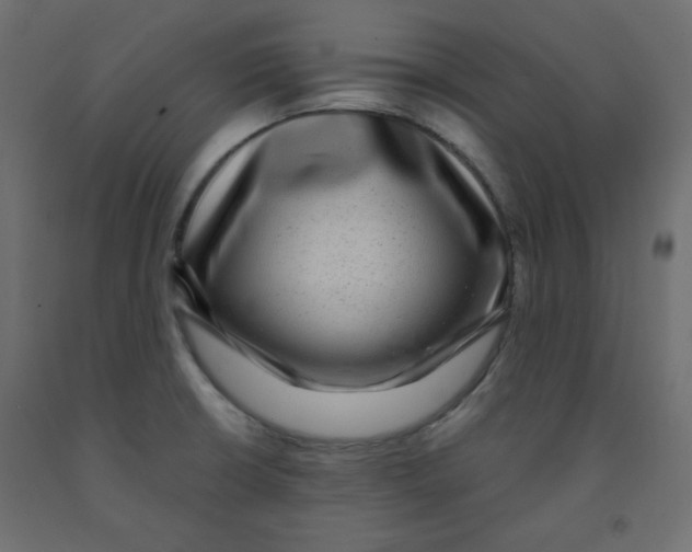 X0000091951426200710040959