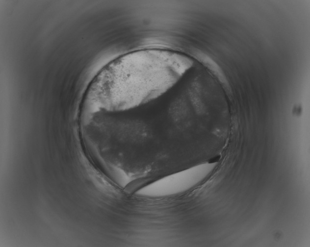 X0000091951427200710040959