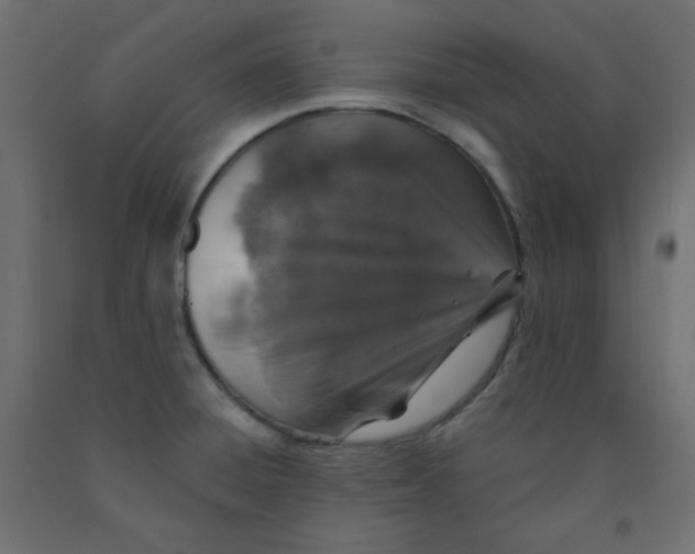 X0000091951428200710040959