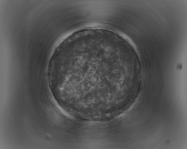 X0000091951429200710040959