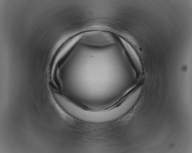 X0000091951430200710040959