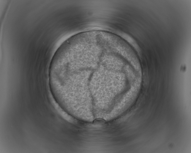 X0000091951431200710040959