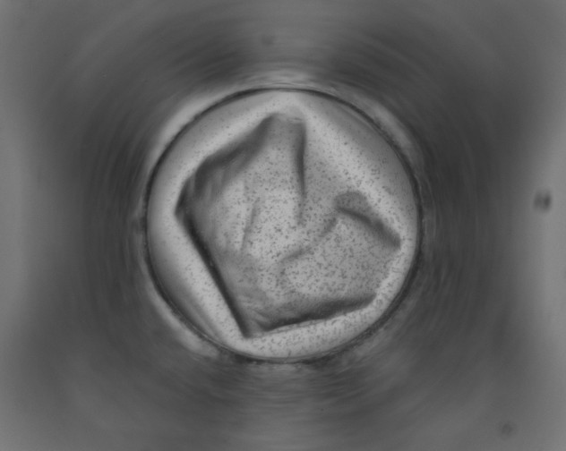 X0000091951432200710040959